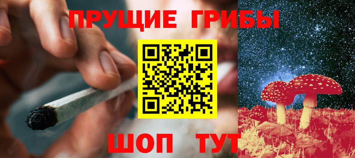 Кудымкар  Галлюциногенные грибы прущие грибы  Вход с VPN  Псилоцибиновые грибы мухоморы 