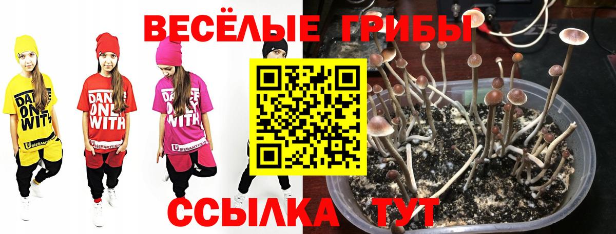 Галлюциногенные грибы MAGIC MUSHROOMS Кудымкар